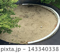 雨の日の忘れ物 143340338