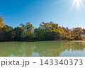 青空と太陽の光が注ぐ秋の池畔と紅葉する木々 143340373