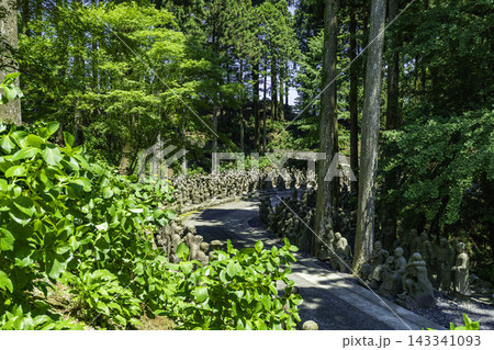 四国八十八箇所66番 雲辺寺 五百羅漢 徳島県三好市 四国八十八箇所66番 雲辺寺 五百羅漢 徳島県三好市 143341093