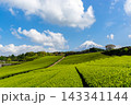 《静岡県》日本の絶景 春の青空と富士山と茶畑 143341144
