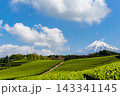《静岡県》日本の絶景 春の青空と富士山と茶畑 143341145