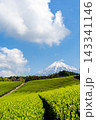 《静岡県》日本の絶景 春の青空と富士山と茶畑 143341146