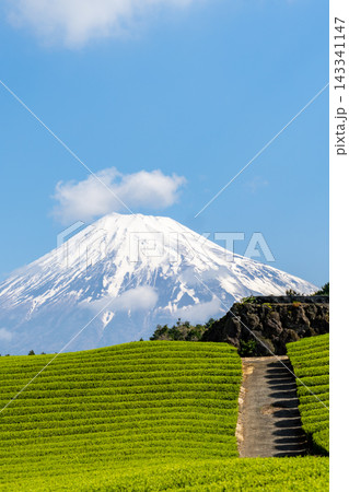 《静岡県》日本の絶景 春の青空と富士山と茶畑 143341147
