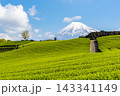 《静岡県》日本の絶景 春の青空と富士山と茶畑 143341149