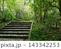 緑に囲まれた石の階段 143342253