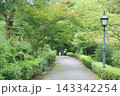 レトロな街灯と緑に囲まれた歩道 143342254