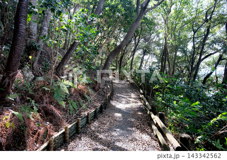 静岡県浜松市中央区舘山寺町_舘山寺遊歩道4_2025年9月 静岡県浜松市中央区舘山寺町_舘山寺遊歩道4_2025年9月 143342562