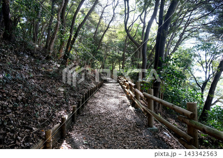 静岡県浜松市中央区舘山寺町_舘山寺遊歩道5_2025年9月 静岡県浜松市中央区舘山寺町_舘山寺遊歩道5_2025年9月 143342563