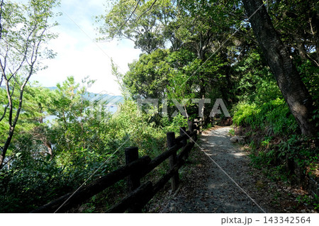 静岡県浜松市中央区舘山寺町_舘山寺遊歩道6_2025年9月 静岡県浜松市中央区舘山寺町_舘山寺遊歩道6_2025年9月 143342564