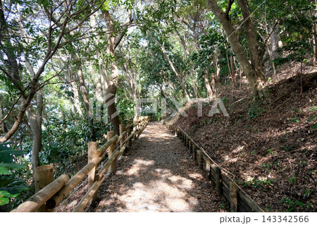 静岡県浜松市中央区舘山寺町_舘山寺遊歩道8_2025年9月 静岡県浜松市中央区舘山寺町_舘山寺遊歩道8_2025年9月 143342566