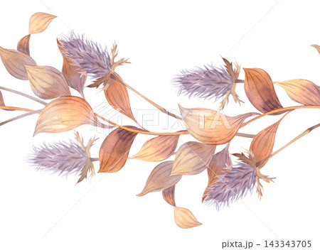 Watercolor botanical study of dried branches with purple thistle seed heads and warm brown leaves arranged diagonally Watercolor botanical study of dried branches with purple thistle seed heads and warm brown leaves arranged diagonally 143343705