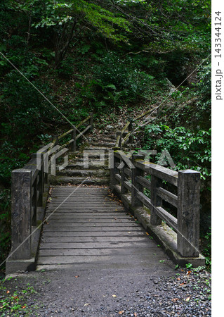 緑豊かな森の中に架かる木製の橋と続く階段を描いた自然散策路の風景 143344124