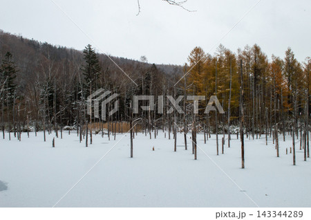 【北海道】雪景色に包まれ一面が凍結した冬の美瑛・青い池 【北海道】雪景色に包まれ一面が凍結した冬の美瑛・青い池 143344289