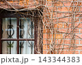 Old Brick Wall With Leafless Vines Crawling Around A Window With Iron Grille 143344383