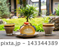 Coffee and Roll Cake on Wooden Counter by Window in Cozy Cafe With Potted Plant 143344389