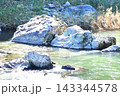 岩のある風景 143344578