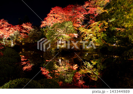 【日本の風景】ライトアップに浮かび上がる美しい秋の紅葉と風情ある日本庭園 【日本の風景】ライトアップに浮かび上がる美しい秋の紅葉と風情ある日本庭園 143344989