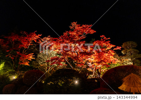 【日本の風景】ライトアップに浮かび上がる美しい秋の紅葉と風情ある日本庭園 【日本の風景】ライトアップに浮かび上がる美しい秋の紅葉と風情ある日本庭園 143344994