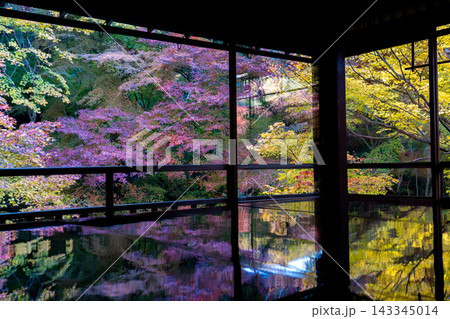 【京都府】秋の瑠璃光院で愛でる机に映り込む美しい紅葉と青もみじの風情 【京都府】秋の瑠璃光院で愛でる机に映り込む美しい紅葉と青もみじの風情 143345014