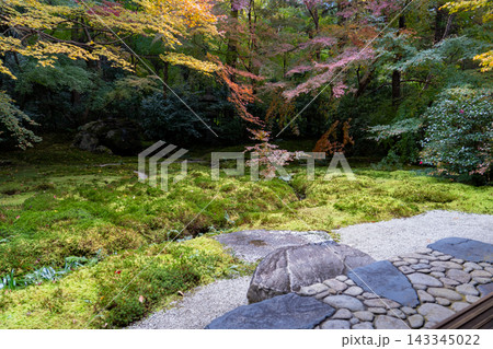 【日本の風景】青もみじと美しい苔庭の風情ある日本庭園景観 143345022