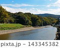 伊勢の五十鈴川 143345382