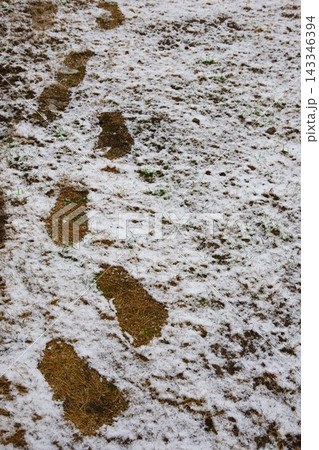降り積もった雪に残った足跡 降り積もった雪に残った足跡 143346394