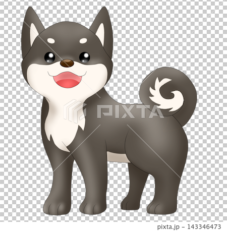 可愛的柴犬（黑色柴犬）插圖 143346473