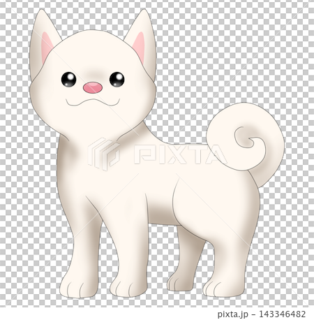 Cute illustration of a Shiba Inu (white Shiba) Cute illustration of a Shiba Inu (white Shiba) 143346482