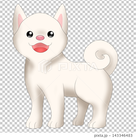 可愛的柴犬(白色柴犬)插圖 可愛的柴犬(白色柴犬)插圖 143346483