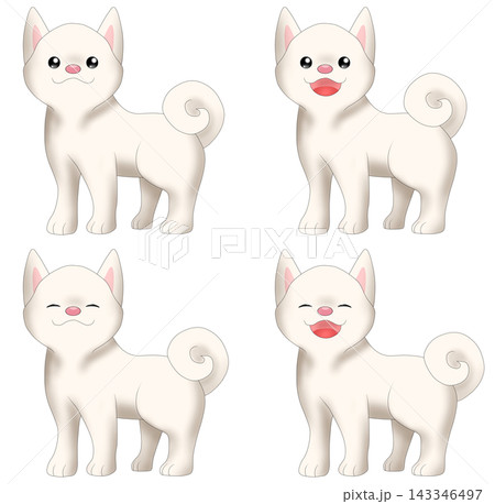 可愛い柴犬(白柴)のイラスト 可愛い柴犬(白柴)のイラスト 143346497