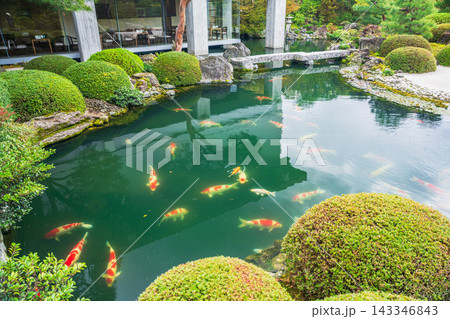 島根県の美しい日本庭園の写真 島根県の美しい日本庭園の写真 143346843