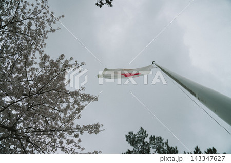 島根の出雲大社の美しい風景 島根の出雲大社の美しい風景 143347627