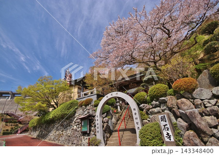 篠栗 桜満開の明石寺 篠栗 桜満開の明石寺 143348400