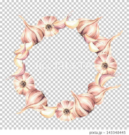 Garlic wreath with whole bulbs and cloves. Realistic hand painted watercolor botanical illustration, isolated on white with round copy space for food labels, vegetable packaging and seasoning. Garlic wreath with whole bulbs and cloves. Realistic hand painted watercolor botanical illustration, isolated on white with round copy space for food labels, vegetable packaging and seasoning. 143348445
