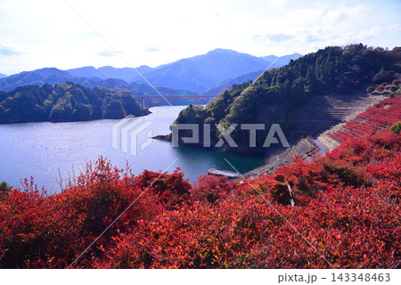 宮ケ瀬湖周辺 宮ケ瀬湖周辺 143348463