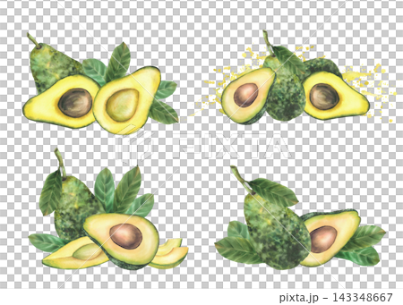 Avocado fruit set with whole and sliced halves, leaves and seed. Hand painted watercolor botanical realistic illustration isolated on white background for food packaging, menus and recipes design. Avocado fruit set with whole and sliced halves, leaves and seed. Hand painted watercolor botanical realistic illustration isolated on white background for food packaging, menus and recipes design. 143348667