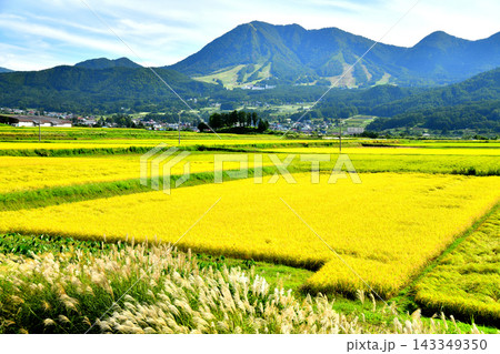 樽川橋／樽川付近より高社山方面を望む(長野県木島平村) 【2026.9】 143349350