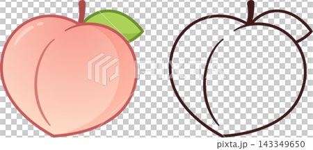 Cartoon peach drawing Cartoon peach drawing 143349650