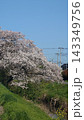 土手の桜と青空 143349756