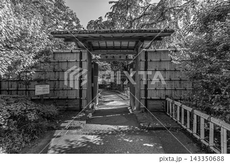 甘泉園公園の入口に佇む竹垣と冠木門のモノクロ景観 2024年5月 甘泉園公園の入口に佇む竹垣と冠木門のモノクロ景観 2024年5月 143350688