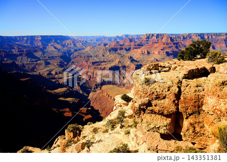 Grand Canyon Arizona Grand Canyon Arizona 143351381