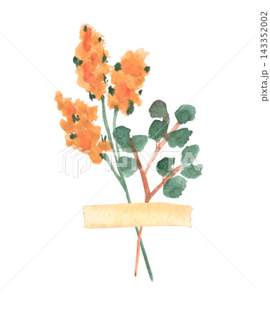 Watercolor still life with flowers. Dried flowers, plants, and herbas beautiful botanical illustration featuring individual design elements suitable for posters, greeting cards, and calligraphy 143352002
