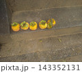 収穫した柿 収穫した柿 143352131