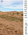 Expansive Landscape of Rocky Arid Valleys and Desert Canyons with a Lone Palm Tree 143352850