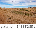 Expansive Landscape of Rocky Arid Valleys and Desert Canyons with a Lone Palm Tree 143352851