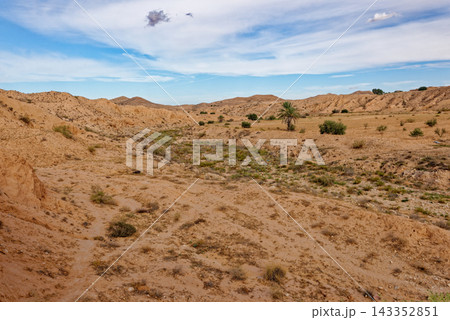 Expansive Landscape of Rocky Arid Valleys and Desert Canyons with a Lone Palm Tree Expansive Landscape of Rocky Arid Valleys and Desert Canyons with a Lone Palm Tree 143352851