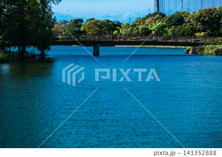 爽やかな青空と緑豊かな公園の水辺風景 143352888