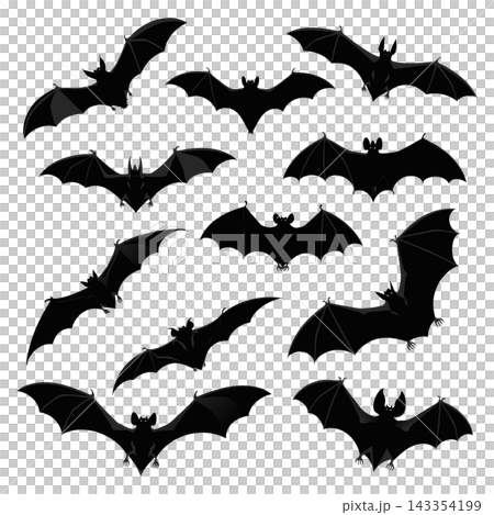 The image shows a collection of black bat silhouettes in various flight poses The image shows a collection of black bat silhouettes in various flight poses 143354199
