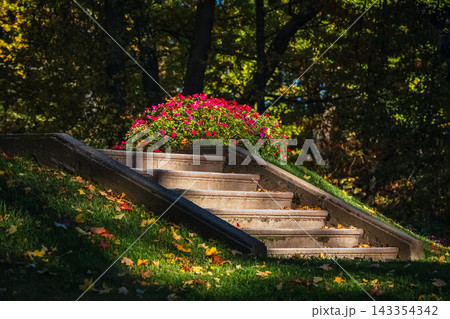 Stone Steps Leading to Vibrant Flower Bed in Autumn Park Stone Steps Leading to Vibrant Flower Bed in Autumn Park 143354342