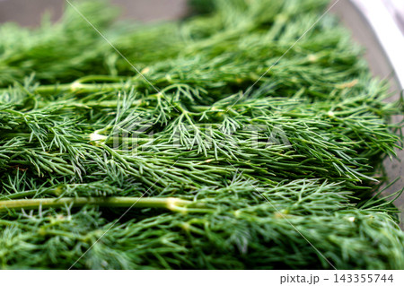 Fresh dill herb with delicate green feathery leaves and slender stems arranged inside a transparent plastic package. Culinary seasoning Fresh dill herb with delicate green feathery leaves and slender stems arranged inside a transparent plastic package. Culinary seasoning 143355744